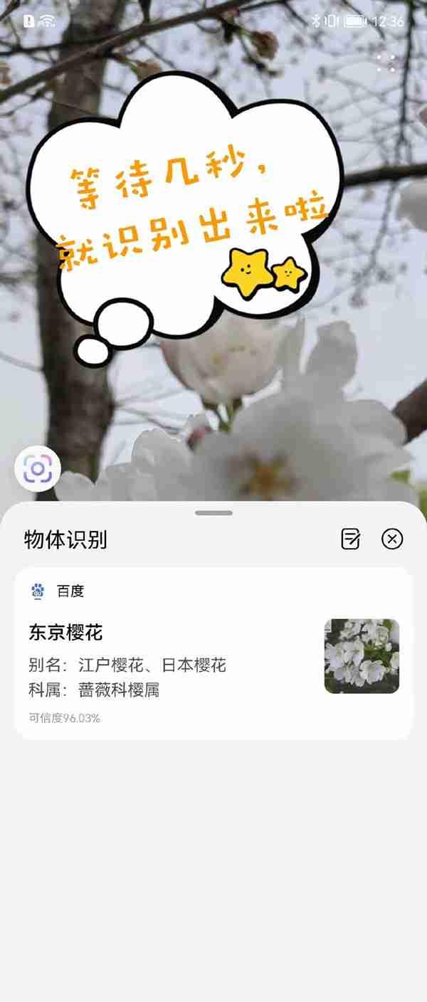 华为pockets识物功能在哪里开启