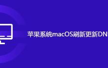 苹果系统macOS刷新更新DNS缓存的方法