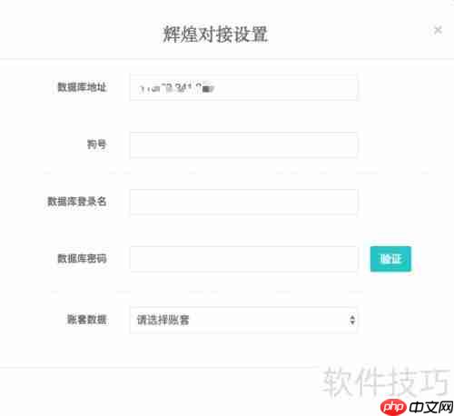 掌上管家婆后台对接设置指南