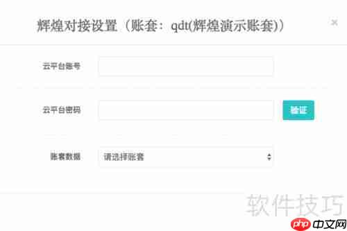 掌上管家婆后台对接设置指南