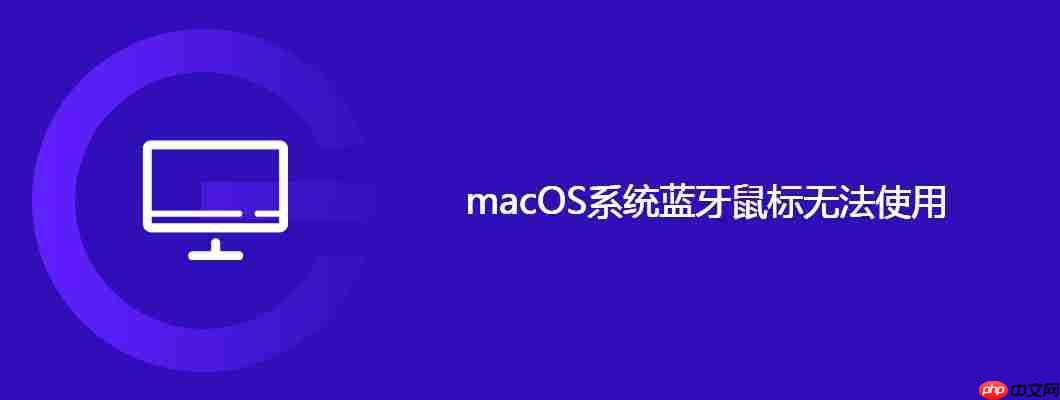 macOS系統(tǒng)藍牙鼠標無法使用
