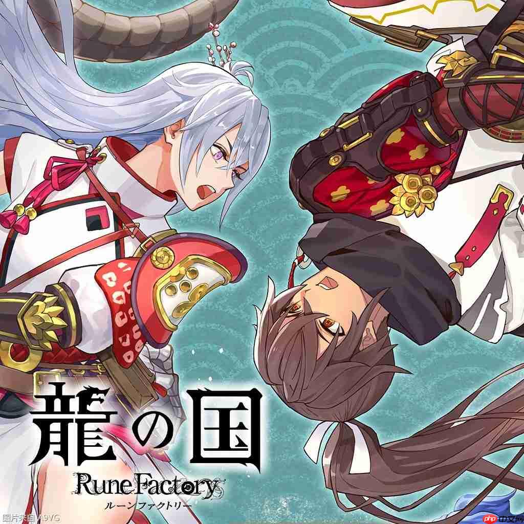 《符文工房 龙之天地》导演采访 同性结婚与重婚细节介绍