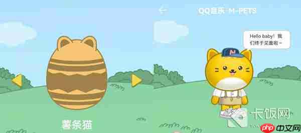 QQ音乐宠物样子介绍