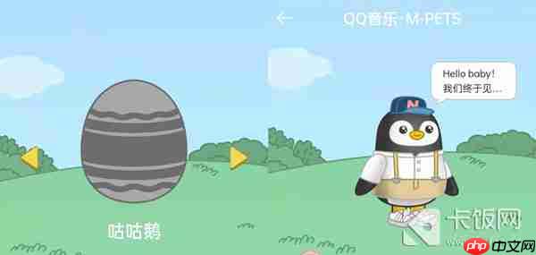 QQ音乐宠物样子介绍