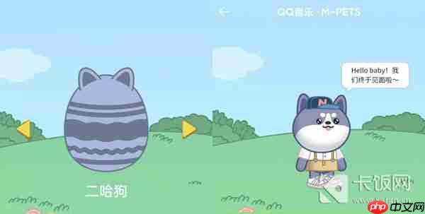 QQ音乐宠物样子介绍