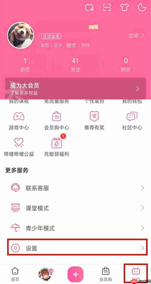 哔哩哔哩弹幕默认关闭怎么设置