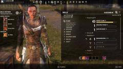 Subkelas 'Elder Scrolls Online' kelihatan sangat fleksibel dan menyeronokkan