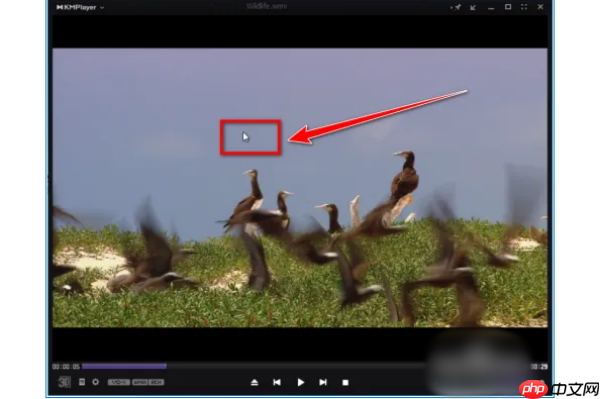 kmplayer plus怎么导入字幕?kmplayer plus导入字幕的操作流程
