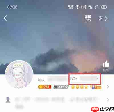 QQ的QID怎么弄