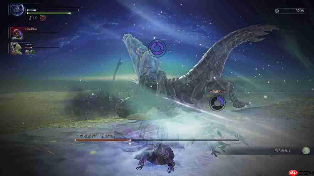 《艾尔登法环 黑夜君临》评测：给爽十分 不爽负分