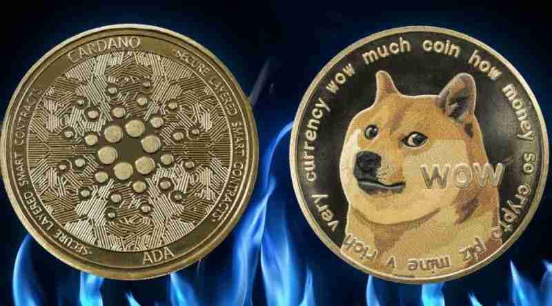狗狗币(doge)和卡尔达诺(ada)2025年6月预测 ada 和狗狗币会迎来价钱的大幅波动吗