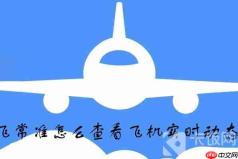飞常准怎么查看飞机实时动态