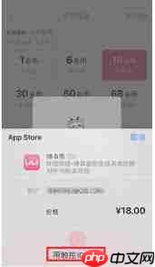 ios系统如何找到b站官网充值入口