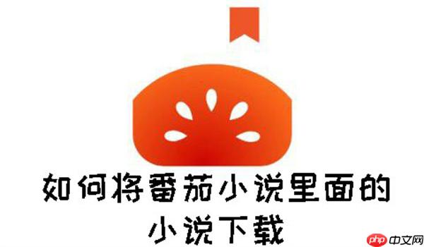 如何将番茄小说里面的小说下载