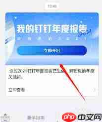 如何查看钉钉年度报告