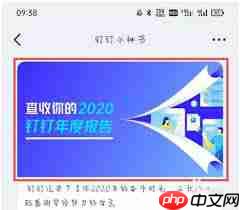 如何查看钉钉年度报告