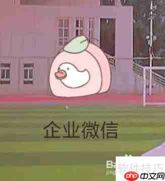 企业微信如何查看人事系统信息