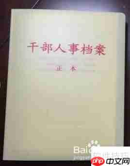人事档案整理：提升管理效率的关键步骤