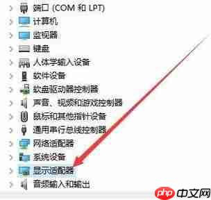 Win10系统怎么回退显卡驱动？