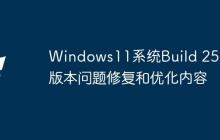 Windows11系统Build 25201版本问题修复和优化内容