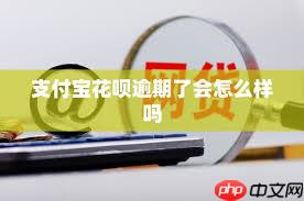 支付宝花呗逾期有什么后果
