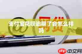 支付宝花呗逾期有什么后果