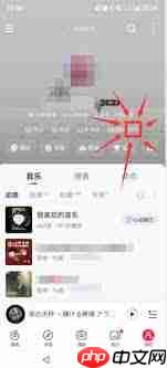 网易云音乐如何查看关注报告