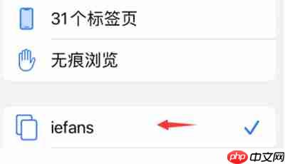 Safari怎么关闭标签页组