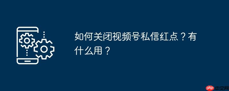 如何关闭视频号私信红点？有什么用？