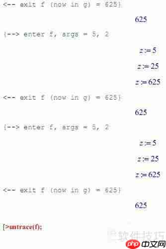 Maple编程调试技巧:掌握计算过程的高效方法