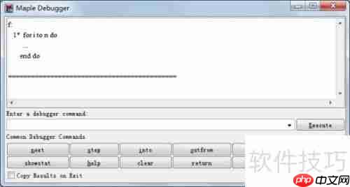 Maple编程调试技巧:掌握计算过程的高效方法