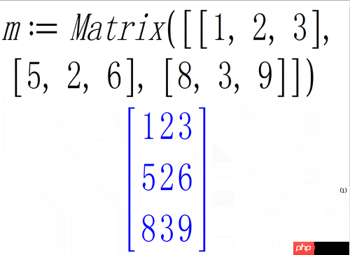 Maple计算方形矩阵实例解析