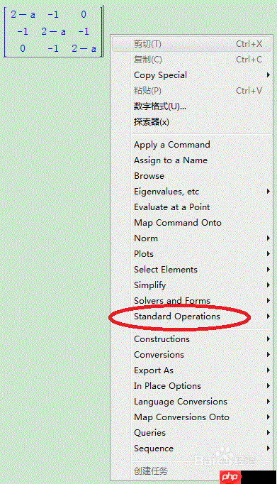 Maple中矩阵行列式的计算方法