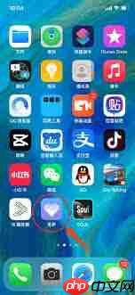 觅伊如何关闭视频