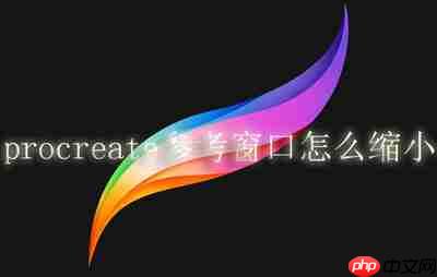 procreate参考窗口怎么缩小