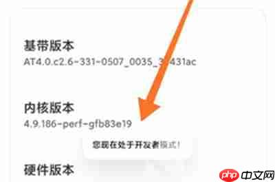 小米12开发者选项怎么打开