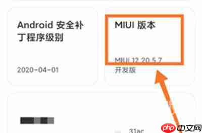 小米12开发者选项怎么打开