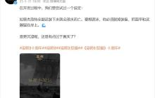 《巫师3》曾想这么设计：白狼若全副武装下水 就会淹死