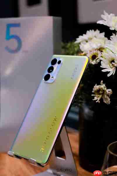 OPPOReno5有什么颜色