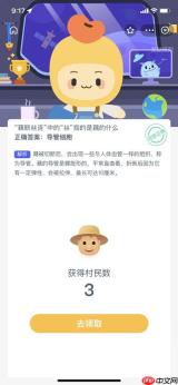 藕丝是藕的什么