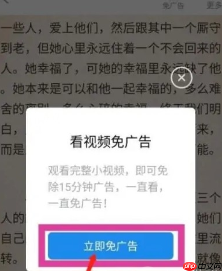 番茄小说无广告设置方法是什么