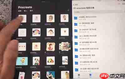 Procreate怎么分屏导入笔刷