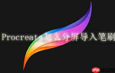 Procreate怎么分屏导入笔刷