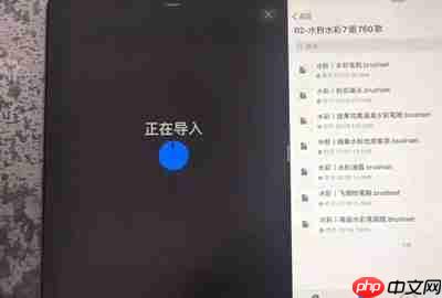 Procreate怎么分屏导入笔刷