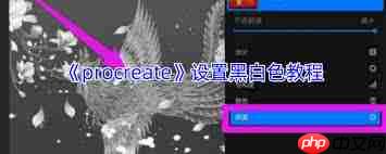procreate怎么调成黑白色
