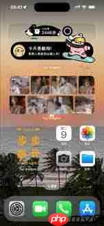 Top widgets怎么设置连网提醒打卡