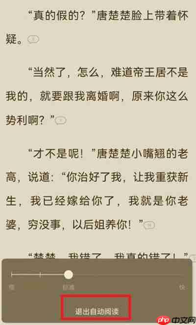 番茄小说自动阅读速度在哪里设置