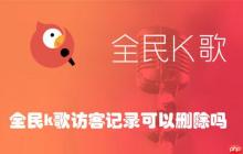 全民k歌访客记录可以删除吗