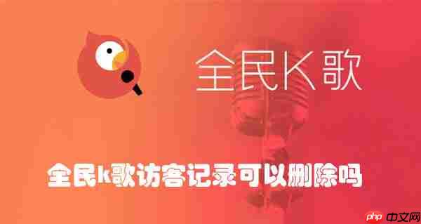 全民k歌访客记录可以删除吗