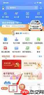 冀时办怎么查询生育津贴
